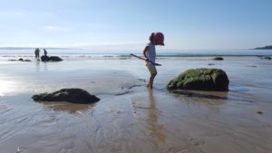 la plage à marée basse