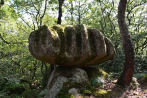 Secrets de la forêt de Duault, Centre Bretagne