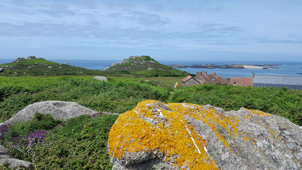 Panorama au sommet de l'ile Milliau à Trébeurden, Bretagne